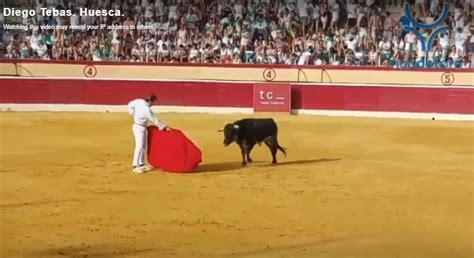diego tebas gay porn